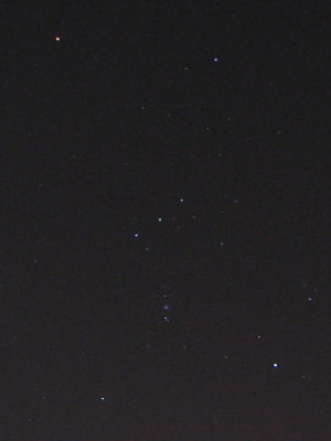 Orion