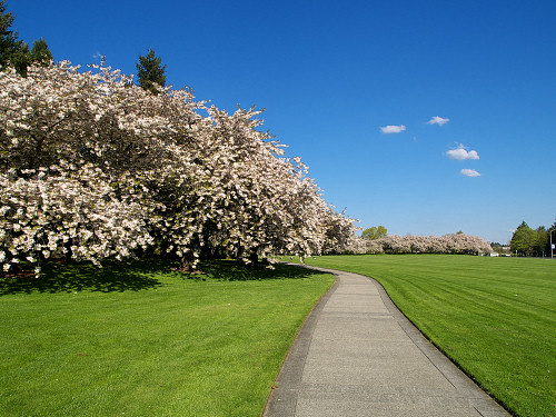 Clark College's Ground